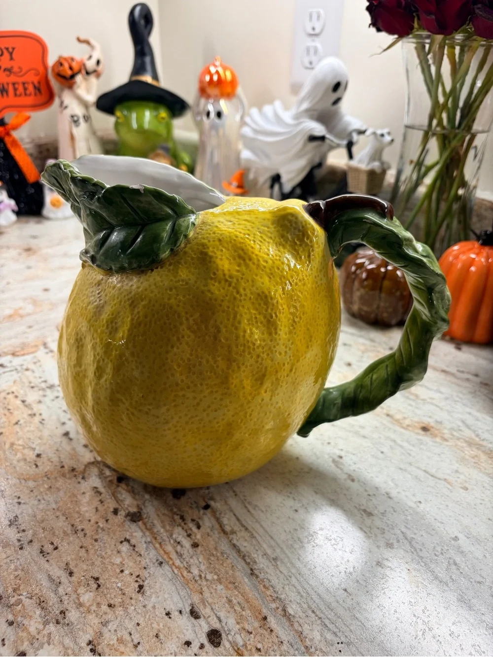 Genuine Sonoma Home Goods 